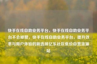 快手在线自助业务平台,快手在线自助业务平台不会掉赞,快手在线自助业务平台,提升效率与用户体验的新选择亿乐社区低价自营货源站
