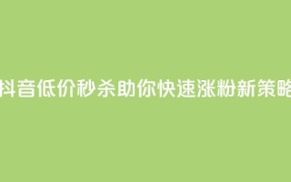 抖音低价秒杀,助你快速涨粉新策略!