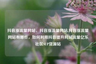 抖音涨流量网站,抖音涨流量网站,抖音涨流量网站有哪些,如何利用抖音提升网站流量亿乐社区SUP货源站