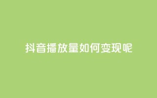 抖音播放量如何变现呢 - 如何利用抖音播放量实现盈利?~