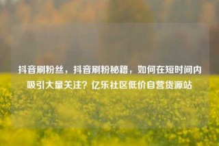 抖音刷粉丝,抖音刷粉秘籍,如何在短时间内吸引大量关注?亿乐社区低价自营货源站