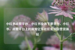小红书点赞平台,小红书业务下单平台,小红书,点赞平台上的新宠亿乐社区低价自营货源站