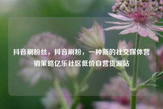 抖音刷粉丝,抖音刷粉,一种新的社交媒体营销策略亿乐社区低价自营货源站