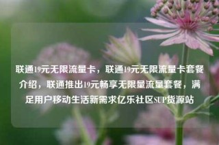 联通19元无限流量卡,联通19元无限流量卡套餐介绍,联通推出19元畅享无限量流量套餐,满足用户移动生活新需求亿乐社区SUP货源站