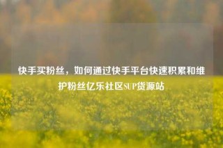 快手买粉丝,如何通过快手平台快速积累和维护粉丝亿乐社区SUP货源站