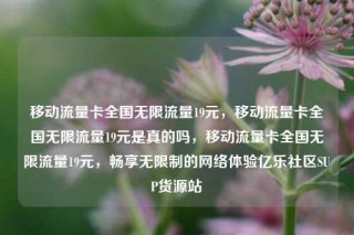 移动流量卡全国无限流量19元,移动流量卡全国无限流量19元是真的吗,移动流量卡全国无限流量19元,畅享无限制的网络体验亿乐社区SUP货源站