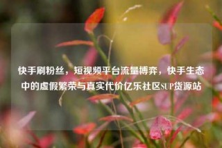快手刷粉丝,短视频平台流量博弈,快手生态中的虚假繁荣与真实代价亿乐社区SUP货源站
