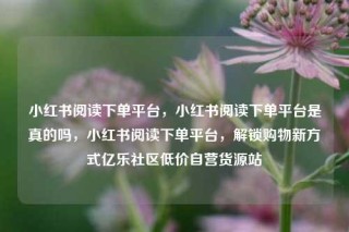 小红书阅读下单平台,小红书阅读下单平台是真的吗,小红书阅读下单平台,解锁购物新方式亿乐社区低价自营货源站
