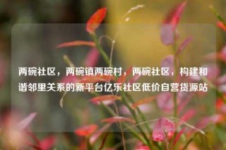 两碗社区,两碗镇两碗村,两碗社区,构建和谐邻里关系的新平台亿乐社区低价自营货源站