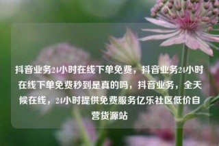 抖音业务24小时在线下单免费,抖音业务24小时在线下单免费秒到是真的吗,抖音业务,全天候在线,24小时提供免费服务亿乐社区低价自营货源站