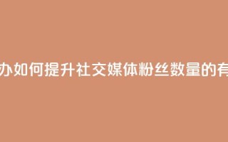 粉丝太少怎么办 - 如何提升社交媒体粉丝数量的有效策略。