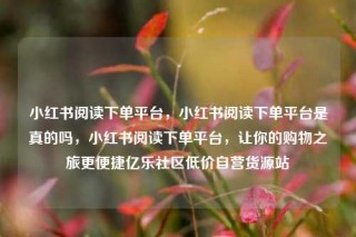 小红书阅读下单平台,小红书阅读下单平台是真的吗,小红书阅读下单平台,让你的购物之旅更便捷亿乐社区低价自营货源站