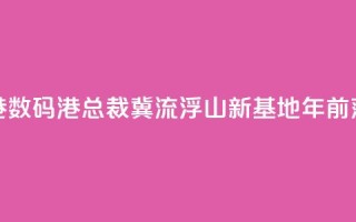 香港数码港总裁:冀流浮山新基地2030年前落成