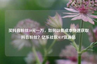 买抖音粉丝10元一万,如何以低成本快速获取抖音粉丝?亿乐社区SUP货源站
