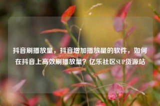 抖音刷播放量,抖音增加播放量的软件,如何在抖音上高效刷播放量?亿乐社区SUP货源站
