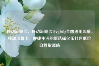 移动流量卡,移动流量卡19元360g全国通用流量,移动流量卡,便捷生活的新选择亿乐社区低价自营货源站