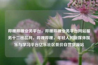 哔哩哔哩业务平台,哔哩哔哩业务平台网站服务十二出品网,哔哩哔哩,年轻人的新媒体娱乐与学习平台亿乐社区低价自营货源站