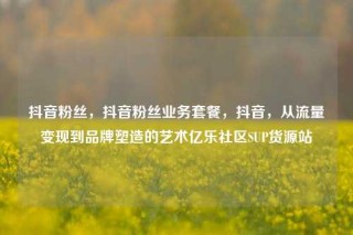 抖音粉丝,抖音粉丝业务套餐,抖音,从流量变现到品牌塑造的艺术亿乐社区SUP货源站