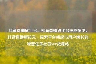 抖音直播放平台,抖音直播放平台抽成多少,抖音直播新纪元,探索平台崛起与用户增长的秘密亿乐社区SUP货源站