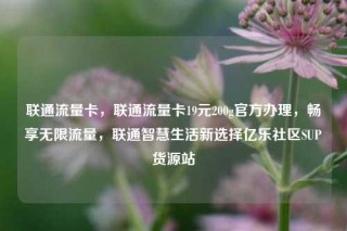 联通流量卡,联通流量卡19元200g官方办理,畅享无限流量,联通智慧生活新选择亿乐社区SUP货源站