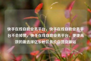 快手在线自助业务平台,快手在线自助业务平台不会掉赞,快手在线自助业务平台,便捷高效的新选择亿乐社区低价自营货源站