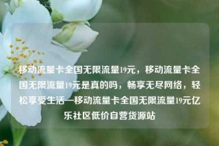 移动流量卡全国无限流量19元,移动流量卡全国无限流量19元是真的吗,畅享无尽网络,轻松享受生活—移动流量卡全国无限流量19元亿乐社区低价自营货源站