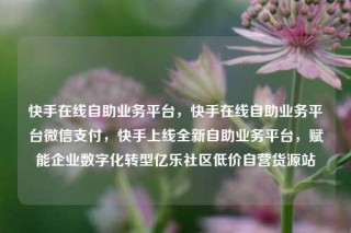 快手在线自助业务平台,快手在线自助业务平台微信支付,快手上线全新自助业务平台,赋能企业数字化转型亿乐社区低价自营货源站