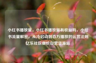小红书播放量,小红书播放量有收益吗,小红书流量解密,从冷启动到百万播放的运营法则亿乐社区低价自营货源站