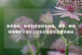 快手粉丝,快手粉丝涨粉丝网站,快手,解锁短视频社交新纪元亿乐社区低价自营货源站