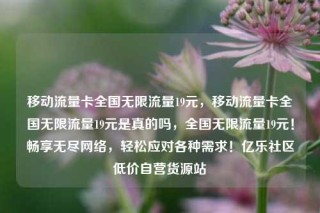 移动流量卡全国无限流量19元,移动流量卡全国无限流量19元是真的吗,全国无限流量19元!畅享无尽网络,轻松应对各种需求!亿乐社区低价自营货源站