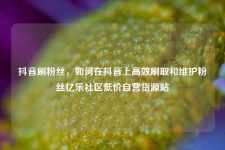 抖音刷粉丝,如何在抖音上高效刷取和维护粉丝亿乐社区低价自营货源站