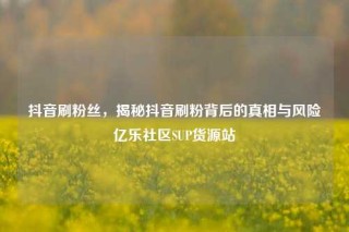 抖音刷粉丝,揭秘抖音刷粉背后的真相与风险亿乐社区SUP货源站