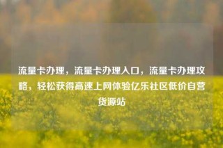 流量卡办理,流量卡办理入口,流量卡办理攻略,轻松获得高速上网体验亿乐社区低价自营货源站