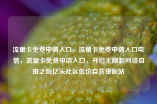 流量卡免费申请入口,流量卡免费申请入口电信,流量卡免费申请入口,开启无限制网络自由之旅亿乐社区低价自营货源站