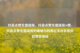 抖音点赞充值链接,抖音点赞充值链接50赞,抖音点赞充值链接的揭秘与利用亿乐社区低价自营货源站