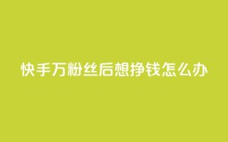 快手1万粉丝后想挣钱怎么办 - 如何在快手1万粉丝后实现收入?!