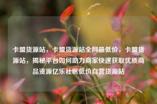 卡盟货源站,卡盟货源站全网最低价,卡盟货源站,揭秘平台如何助力商家快速获取优质商品资源亿乐社区低价自营货源站