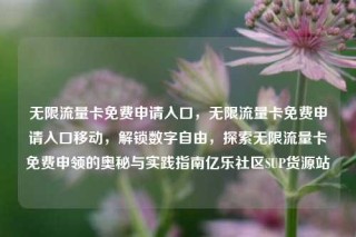 无限流量卡免费申请入口,无限流量卡免费申请入口移动,解锁数字自由,探索无限流量卡免费申领的奥秘与实践指南亿乐社区SUP货源站