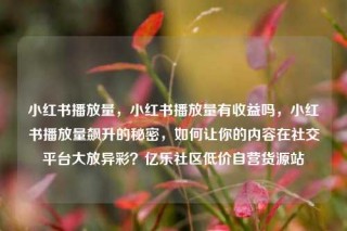 小红书播放量,小红书播放量有收益吗,小红书播放量飙升的秘密,如何让你的内容在社交平台大放异彩?亿乐社区低价自营货源站