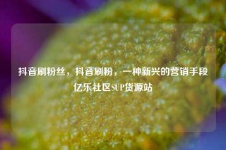 抖音刷粉丝,抖音刷粉,一种新兴的营销手段亿乐社区SUP货源站