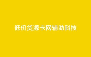 低价货源卡网辅助科技 - 实惠货源卡网络辅助科技全攻略!