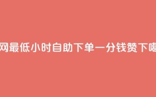 全网最低24小时自助下单 - 一分钱10w赞