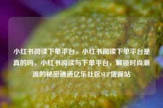 小红书阅读下单平台,小红书阅读下单平台是真的吗,小红书阅读与下单平台,解锁时尚潮流的秘密通道亿乐社区SUP货源站