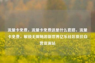流量卡免费，流量卡免费送是什么套路，流量卡免费，解锁无限畅游新世界亿乐社区低价自营货源站