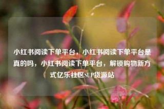 小红书阅读下单平台,小红书阅读下单平台是真的吗,小红书阅读下单平台,解锁购物新方式亿乐社区SUP货源站