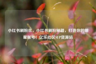 小红书刷粉丝,小红书刷粉秘籍,打造你的明星账号!亿乐社区SUP货源站