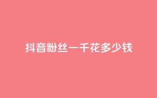 抖音粉丝一千花多少钱 - 购买一千个抖音粉丝的价格!