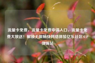 流量卡免费,流量卡免费申请入口,流量卡免费大放送!解锁无限畅快网络体验亿乐社区SUP货源站