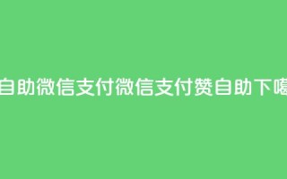 qq赞自助微信支付(微信支付qq赞自助)