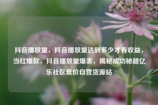 抖音播放量,抖音播放量达到多少才有收益,当红爆款,抖音播放量爆表,揭秘成功秘籍亿乐社区低价自营货源站